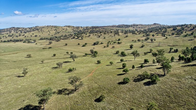 4 bedroom mixed farming property at 214 Brookfield Road, Wellington NSW 2820 - photo 15