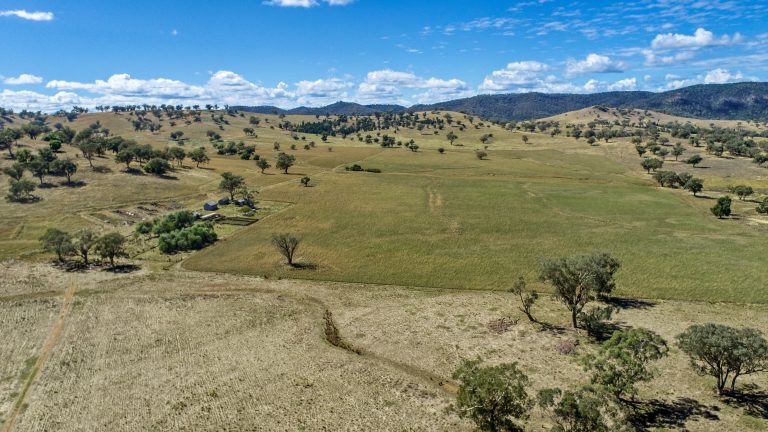 4 bedroom mixed farming property at 214 Brookfield Road, Wellington NSW 2820 - photo 16
