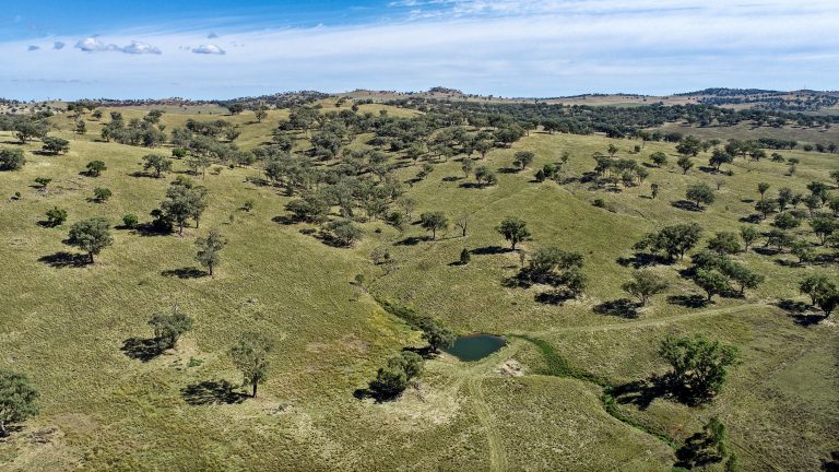 4 bedroom mixed farming property at 214 Brookfield Road, Wellington NSW 2820 - photo 17