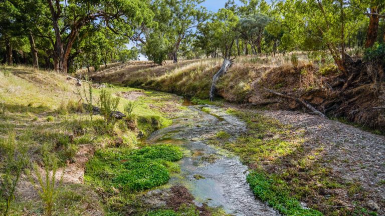 4 bedroom mixed farming property at 214 Brookfield Road, Wellington NSW 2820 - photo 18