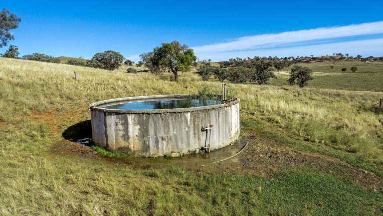 4 bedroom mixed farming property at 214 Brookfield Road, Wellington NSW 2820 - photo 20