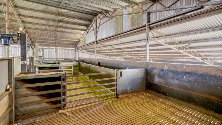 4 bedroom mixed farming property at 214 Brookfield Road, Wellington NSW 2820 - photo 33