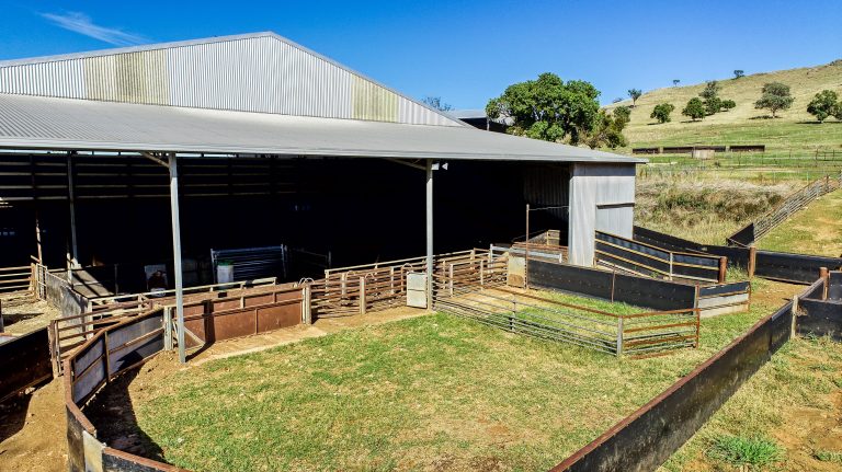 4 bedroom mixed farming property at 214 Brookfield Road, Wellington NSW 2820 - photo 34