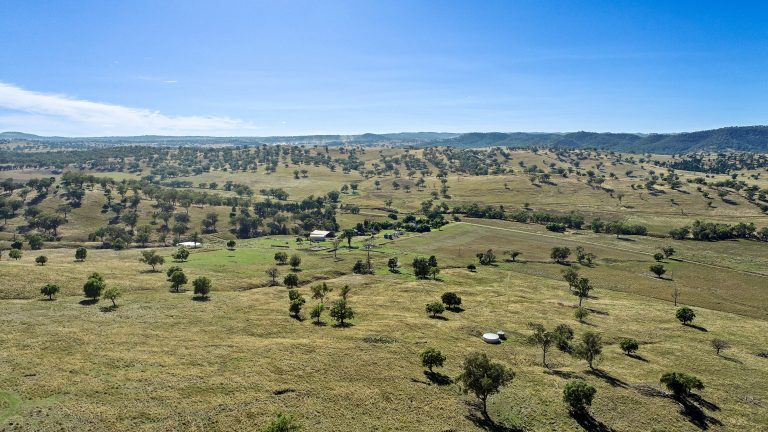 4 bedroom mixed farming property at 214 Brookfield Road, Wellington NSW 2820 - photo 5