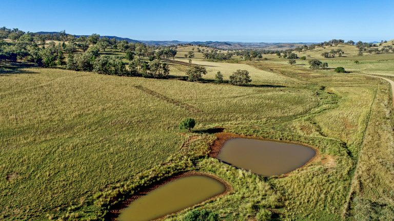 4 bedroom mixed farming property at 214 Brookfield Road, Wellington NSW 2820 - photo 6