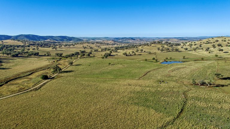 4 bedroom mixed farming property at 214 Brookfield Road, Wellington NSW 2820 - photo 7
