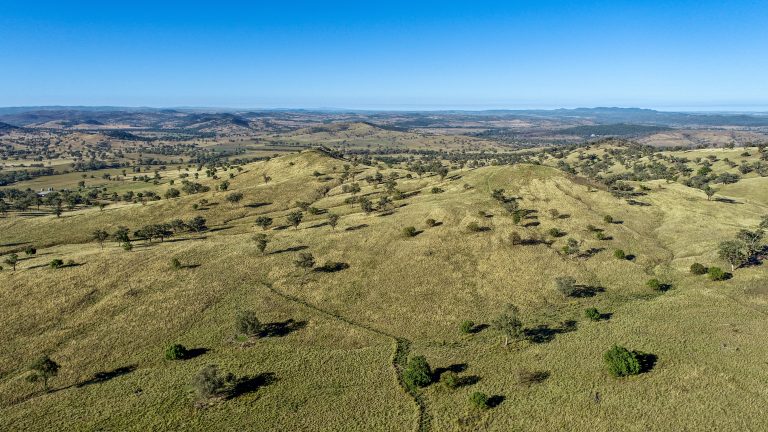 4 bedroom mixed farming property at 214 Brookfield Road, Wellington NSW 2820 - photo 8