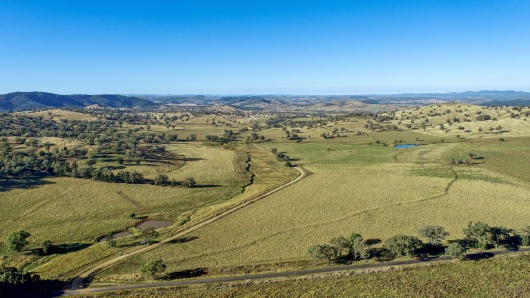 4 bedroom mixed farming property at 214 Brookfield Road, Wellington NSW 2820
