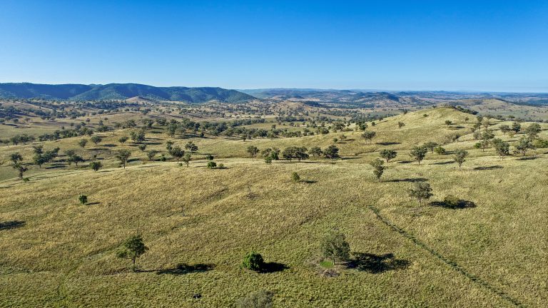 4 bedroom mixed farming property at 214 Brookfield Road, Wellington NSW 2820 - photo 9