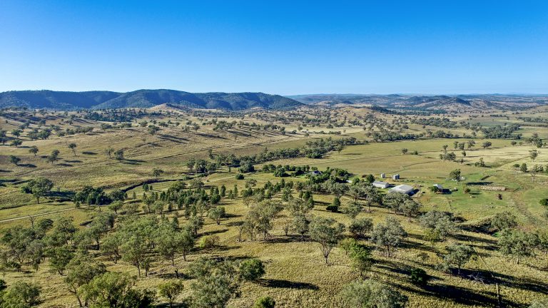 4 bedroom mixed farming property at 214 Brookfield Road, Wellington NSW 2820 - photo 10