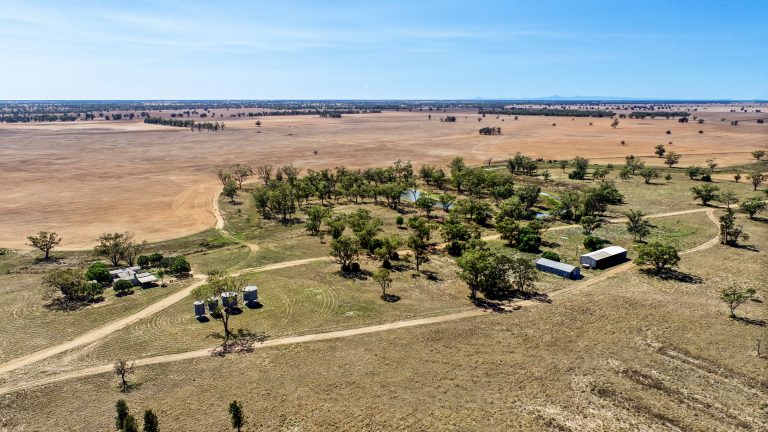 4 bedroom cropping property at 1023 Wonbobbie Lane, Warren NSW 2824 - photo 31