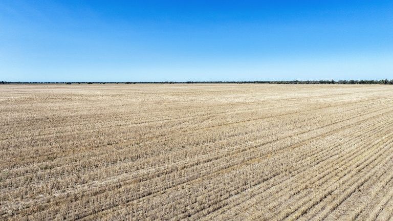 4 bedroom cropping property at 1023 Wonbobbie Lane, Warren NSW 2824 - photo 6