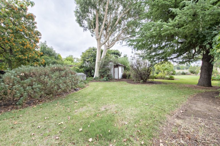 4 bedroom house at 26-28 Montefiores Street, Wellington NSW 2820 - photo 17