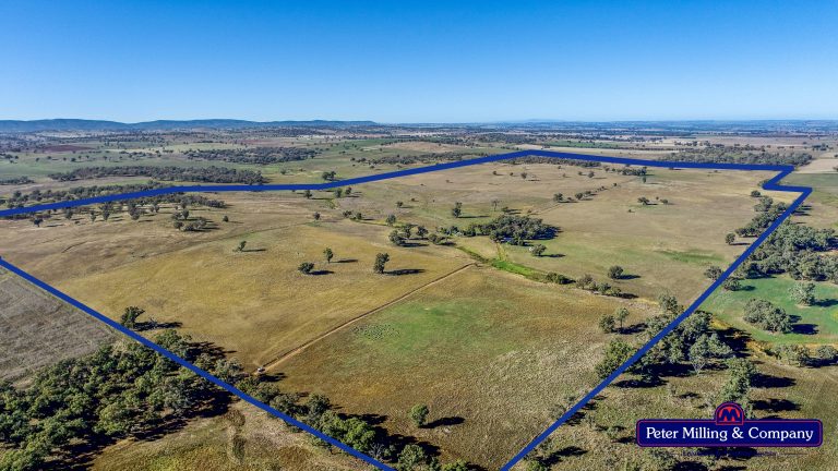 4 bedroom mixed farming property at 178 Wykes Lane, Wellington NSW 2820 - photo 11