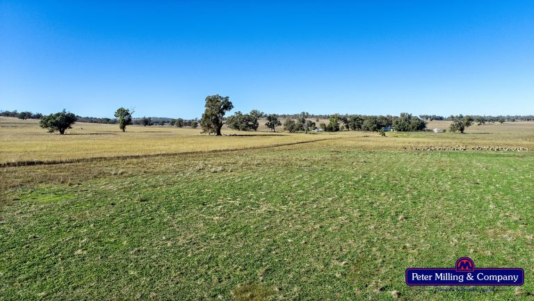 4 bedroom mixed farming property at 178 Wykes Lane, Wellington NSW 2820 - photo 12