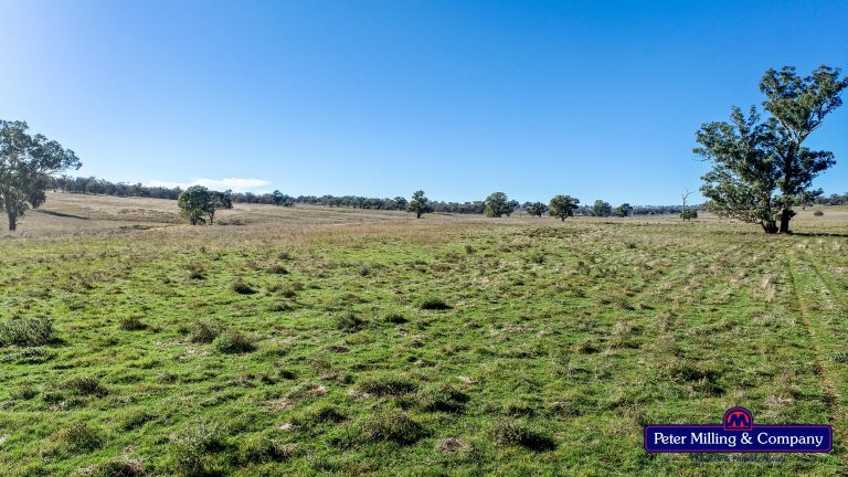 4 bedroom mixed farming property at 178 Wykes Lane, Wellington NSW 2820 - photo 14