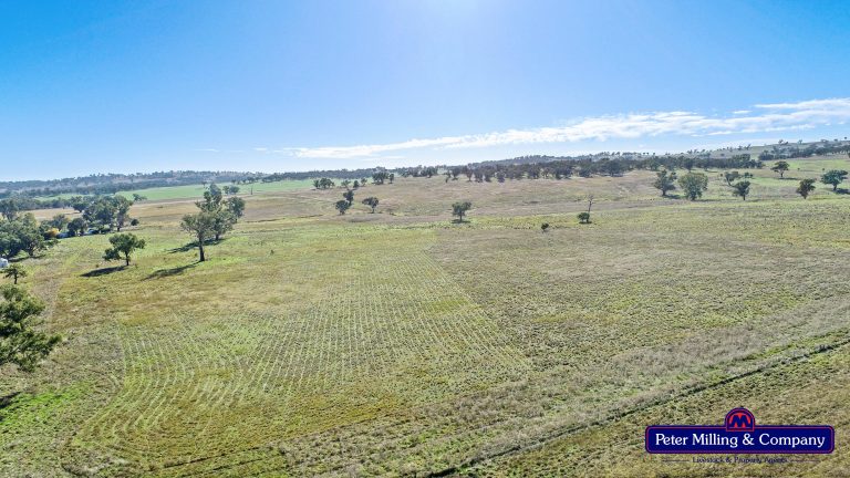 4 bedroom mixed farming property at 178 Wykes Lane, Wellington NSW 2820 - photo 15