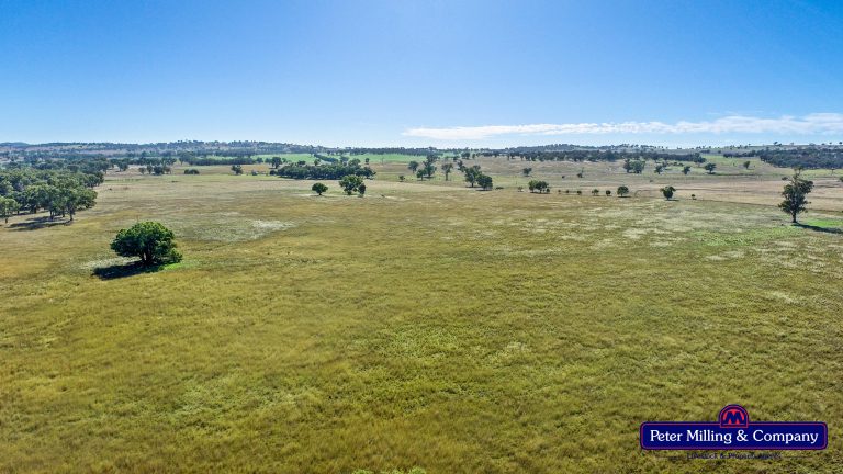 4 bedroom mixed farming property at 178 Wykes Lane, Wellington NSW 2820 - photo 18