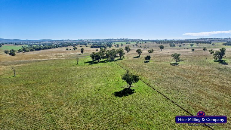 4 bedroom mixed farming property at 178 Wykes Lane, Wellington NSW 2820 - photo 19