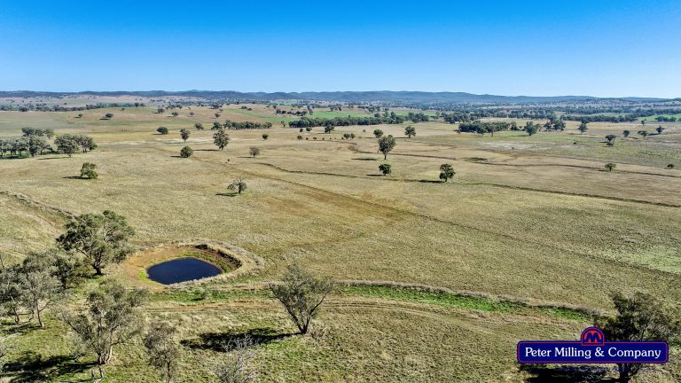 4 bedroom mixed farming property at 178 Wykes Lane, Wellington NSW 2820 - photo 20