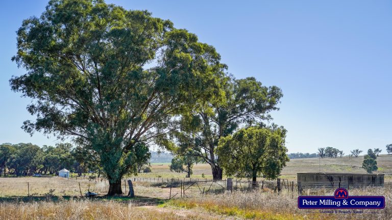 4 bedroom mixed farming property at 178 Wykes Lane, Wellington NSW 2820 - photo 4