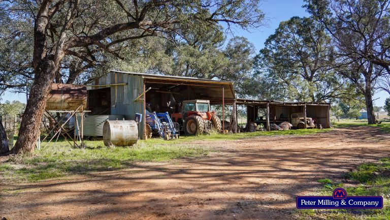 4 bedroom mixed farming property at 178 Wykes Lane, Wellington NSW 2820 - photo 5