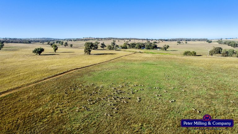 4 bedroom mixed farming property at 178 Wykes Lane, Wellington NSW 2820 - photo 8