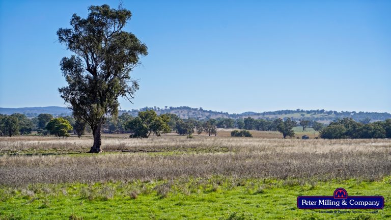 4 bedroom mixed farming property at 178 Wykes Lane, Wellington NSW 2820