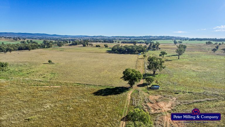 4 bedroom mixed farming property at 178 Wykes Lane, Wellington NSW 2820 - photo 9