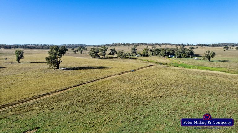 4 bedroom mixed farming property at 178 Wykes Lane, Wellington NSW 2820 - photo 10