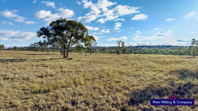 Mixed farming property at 'Trafalgar' Obley Road, Obley NSW 2868 - photo 2