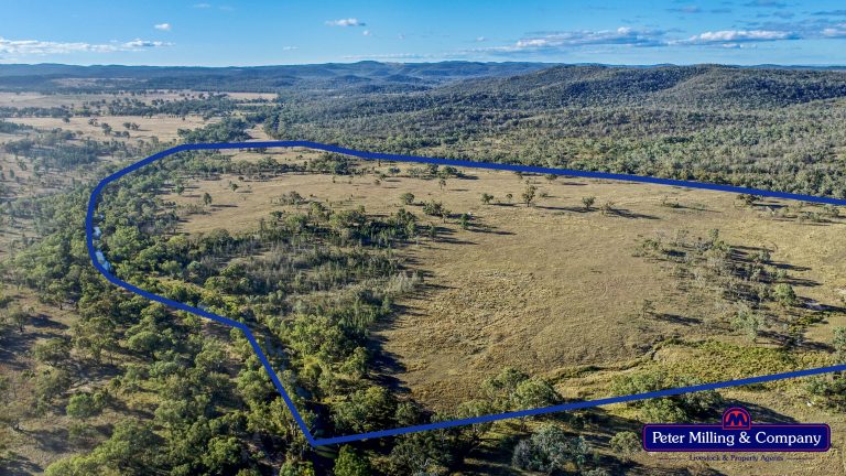 Mixed farming property at 'Trafalgar' Obley Road, Obley NSW 2868 - photo 3