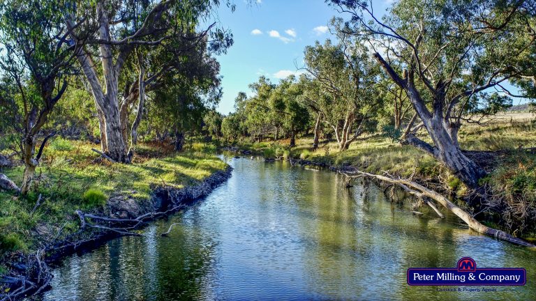 Mixed farming property at 'Trafalgar' Obley Road, Obley NSW 2868 - photo 4