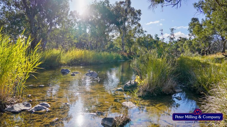 Mixed farming property at 'Trafalgar' Obley Road, Obley NSW 2868 - photo 5