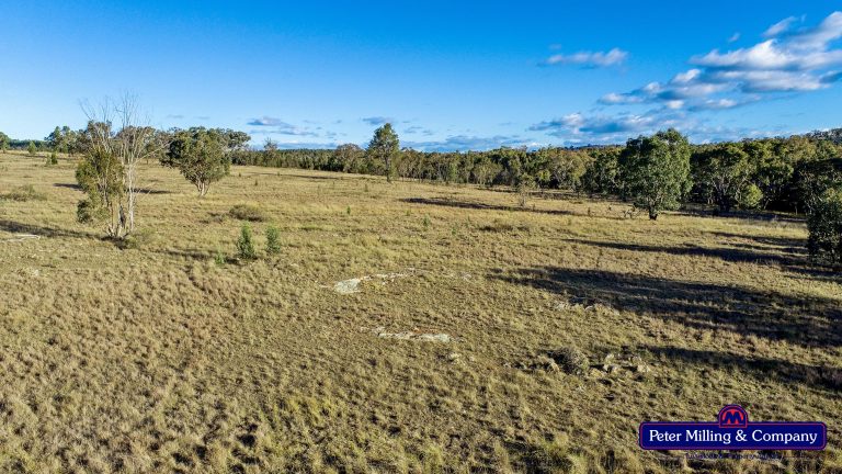 Mixed farming property at 'Trafalgar' Obley Road, Obley NSW 2868 - photo 6