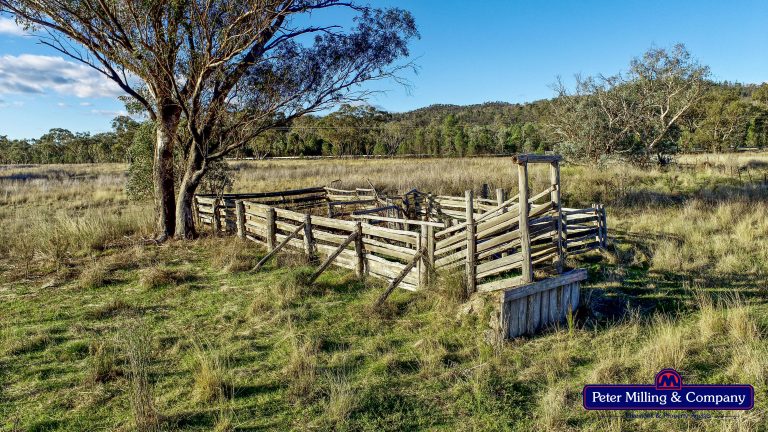 Mixed farming property at 'Trafalgar' Obley Road, Obley NSW 2868 - photo 7