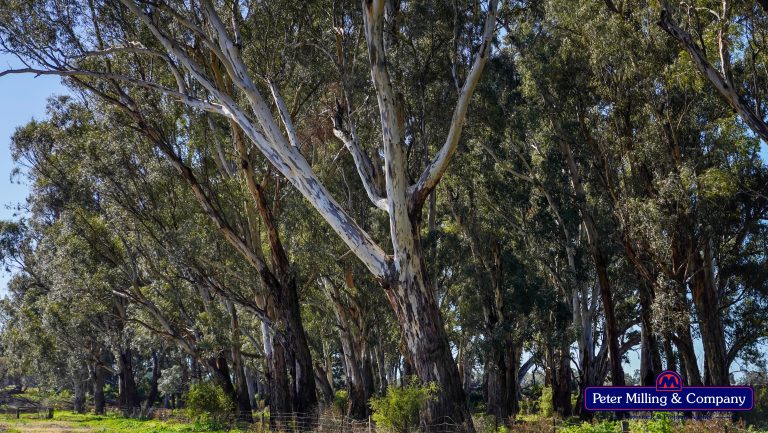2 bedroom lifestyle property at 133R Narromine Road, Dubbo NSW 2830 - photo 11