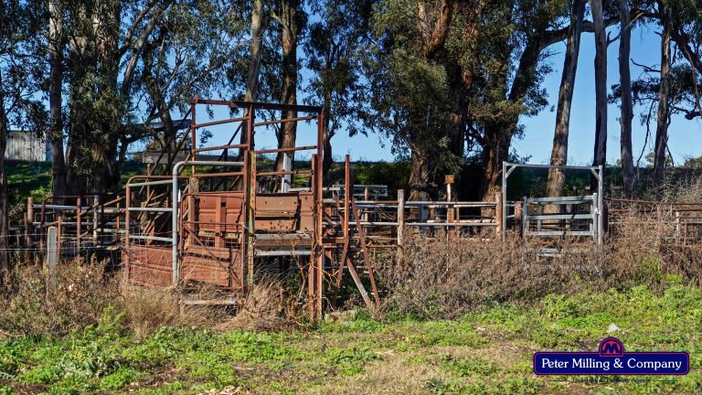 2 bedroom lifestyle property at 133R Narromine Road, Dubbo NSW 2830 - photo 18