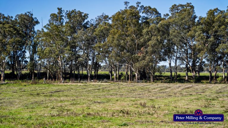 2 bedroom lifestyle property at 133R Narromine Road, Dubbo NSW 2830 - photo 3
