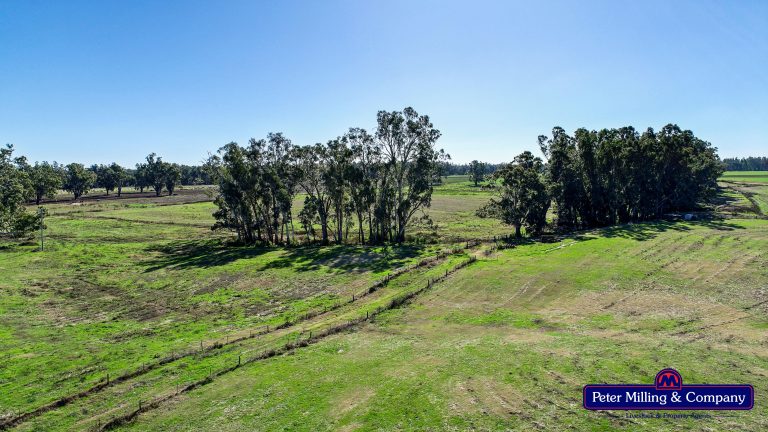 2 bedroom lifestyle property at 133R Narromine Road, Dubbo NSW 2830 - photo 6