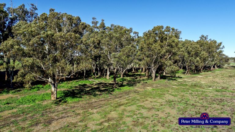 2 bedroom lifestyle property at 133R Narromine Road, Dubbo NSW 2830 - photo 7