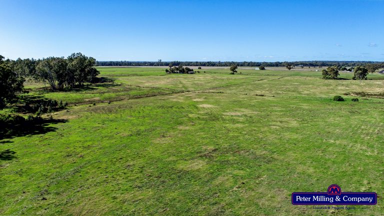 2 bedroom lifestyle property at 133R Narromine Road, Dubbo NSW 2830