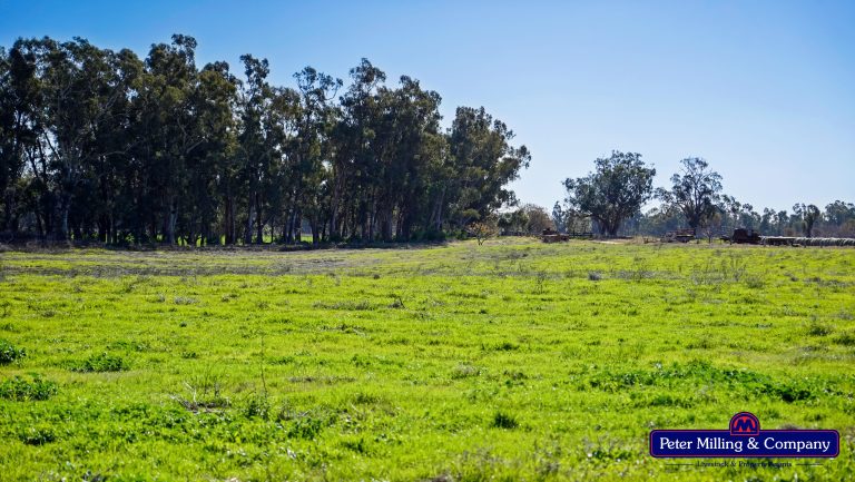 2 bedroom lifestyle property at 133R Narromine Road, Dubbo NSW 2830 - photo 10