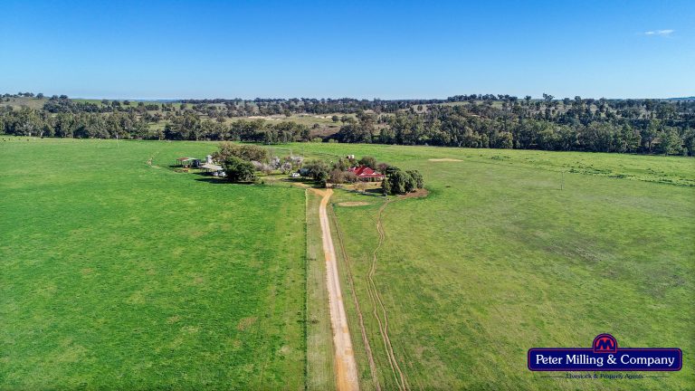 3 bedroom mixed farming property at 416 Arthurville Road, Geurie NSW 2818 - photo 11