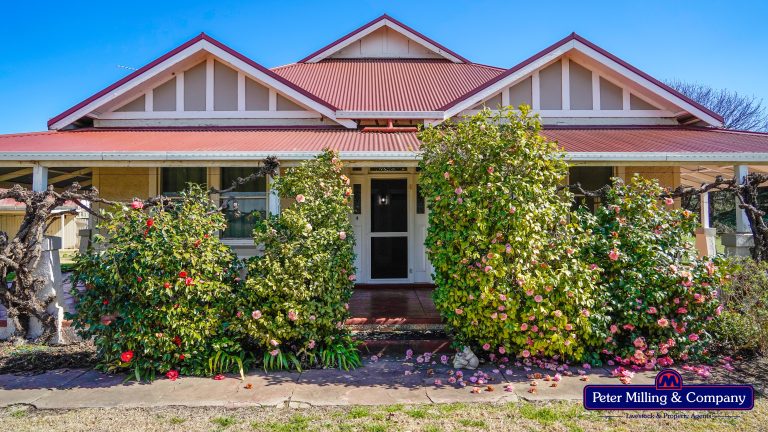 3 bedroom mixed farming property at 416 Arthurville Road, Geurie NSW 2818 - photo 14