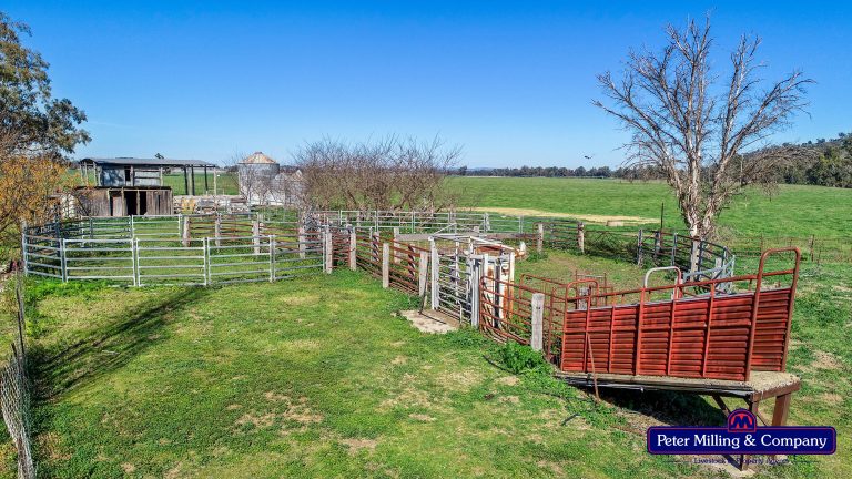 3 bedroom mixed farming property at 416 Arthurville Road, Geurie NSW 2818 - photo 31