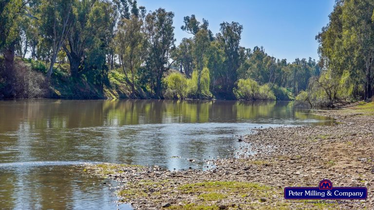 3 bedroom mixed farming property at 416 Arthurville Road, Geurie NSW 2818 - photo 5