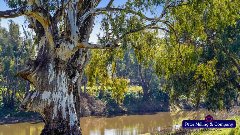 3 bedroom mixed farming property at 416 Arthurville Road, Geurie NSW 2818 - photo 6