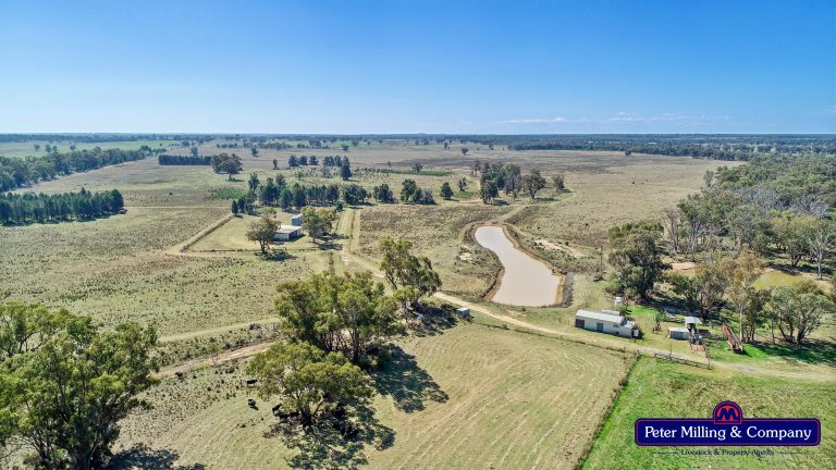 Mixed farming property at 41R Dulcidene Road, Dubbo NSW 2830 - photo 11