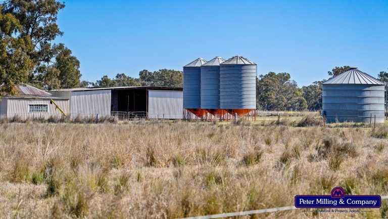 Mixed farming property at 41R Dulcidene Road, Dubbo NSW 2830 - photo 13